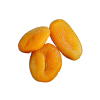 apricots Raynovaa Global Trade Pvt Ltd