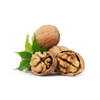walnuts raynovaa global trade pvt ltd