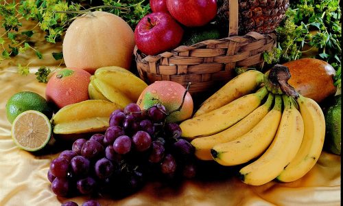 RayNovaa Global Trade Vision and Mission